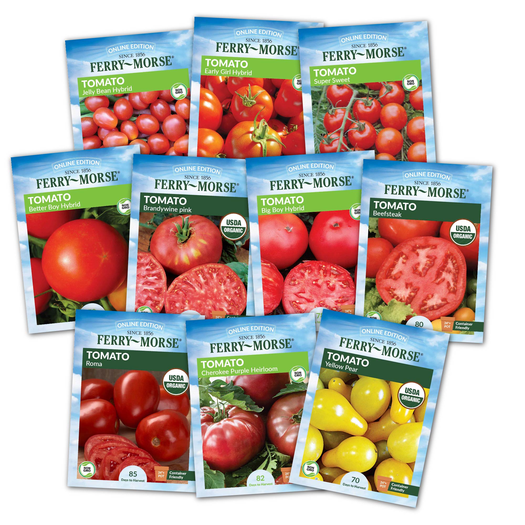 A collection of seed packets labeled with different varieties of tomatoes, such as Brandywine Pink, Early Girl, Better Boy, Supersweet 100 VF, Jelly Bean Hybrid, Yellow Pear, Big Boy Hybrid, Roma Organic, Cherokee Purple, and Beefsteak Organic.